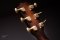 Taylor K14ce Builders Edition ( 2019 )