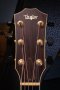 Taylor 812CE 2006 ES1