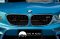 BMW M2 Coupe