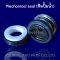 Type: CS- #USA, #E (Mechanical Seal, แมคคานิคอลซีล,ซีลปั้มน้ำ, แมคซีล)