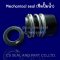 Type: CS- #MG13 (Mechanical Seal, แมคคานิคอลซีล,ซีลปั้มน้ำ, แมคซีล)