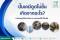 ปั๊มเคมีดูดไม่ขึ้น เกิดจากอะไร? รวมสาเหตุ วิธีตรวจสอบ และแนวทางแก้ไขเบื้องต้น