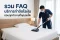 Dust Mite Removal FAQ: Everything You Need to Know About Professional Service