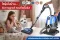 Dust Mites at Home: The Cause of Your Child's Allergies, Congestion and Asthma - Solved With SIRENA