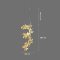 GINKGO LEAVES-H200