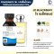 หัวเชื้อน้ำหอมกลิ่น โจ แบล็ค &เบย์ (JO BLACK&BAY)