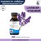หัวเชื้อน้ำหอมกลิ่น ดอกลาเวนเดอร์ (LAVENDER)