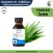 หัวเชื้อน้ำหอมกลิ่น ใบเตย (PANDAN)