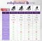 ALLWELL Wheelchair รถเข็นวีลแชร์ เกรดเครื่องมือแพทย์ มีล้อหลังกันหงาย ที่พักแขนปรับได้ รับประกัน 1ปี