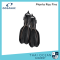Oceanic Manta Ray Fins