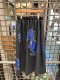 Ruay Gigantic in Navy Blue Gold Lining