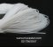 ซิลิโคนกลมตัน  DIA 8-12 มม. / SILICONE ROD