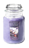 LAVENDER VANILLA