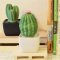 Melona Cactus - Ceramic Aroma Diffuser กระบองเพชรเมโลน่า เซรามิกกระจายกลิ่นหอม