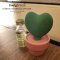 Mini Heart Cactus ceramic diffuser กระบองเพชรมินิ หัวใจ