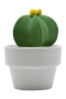 Mini Star Cactus ceramic diffuser กระบองเพชรมินิ ดาว