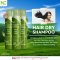 Hair Dry Shampoo