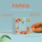 PMERRY PAPAYA GLUTA COLLAGEN SOAP