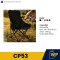 เก้าอี้แคมป์ปิ้ง CP53