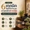 6 เทคนิคจัดโต๊ะทำงานตามหลักฮวงจุ้ย เสริมดวงหน้าที่การงาน