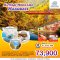 JP01 ทัวร์ญี่ปุ่น Autumn Hokkaido Hakodate 6 วัน 4 คืน บินTG ใบไม้เปลี่ยนสี