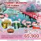 JP01 ญี่ปุ่น  KYUSHU  CHERRY BLOSSOM 6 วัน 4 คืน (TG)