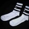 TWSPORT Training Sock V2