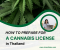 How to prepare beforehand for a license application to sell cannabis