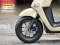 Girono plus No1071