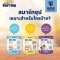 Smart Soup ซุปอกไก่ ฟักทอง ไข่ ดัชนีน้ำตาลต่ำ ทดแทนมื้ออาหาร ให้ทางสายได้ ผู้สูงอายุ อาหารผู้ป่วยติดเตียง อาหารผู้ป่วยเบาหวาน