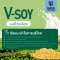V-soy วีซอย นมถั่วเหลือง สูตรอัลมอนด์ 180 มล.