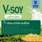 V-soy วีซอย มัดรวมนมถั่วเหลืองวีซอยทุกรสชาติ (แพ็ค 3 กล่อง)