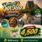 ทัวร์เมืองเฟือง วังเวียง 3 วัน 2 คืน จากหนองคาย ราคาเริ่มต้น 4,500 บาท