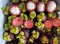 Mangosteen