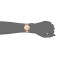 ANNE KLEIN AK/2626RGRG นาฬิกาข้อมือผู้หญิง