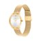 Coach CO14504223 Elliot Women's Watch