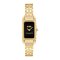 Coach CO14504250 Ladies Gold Plated Stainless Steel Cadie Watch