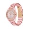 Coach CO14504272 Greyson Rose Gold Resin Bracelet Analog Watch