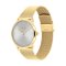 Calvin Klein CK25300003 Timeless Gold 38 mm.