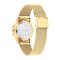 Calvin Klein CK25300003 Timeless Gold 38 mm.