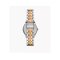 Michael Kors MK4846  Mini Harlowe Women Watch 33 mm.