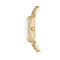 Michael Kors MK4867  Emery Women Watch 22 mm.