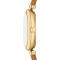Emporio Armani AR11780  SINFONIA WOMEN 28MM นาฬิกาข้อมือ นาฬิกา ผู้หญิง