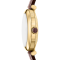 Emporio Armani AR60097  ARCHELIA WOMEN 34MM  นาฬิกาข้อมือ นาฬิกา ผู้หญิง