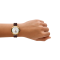 Emporio Armani AR60097  ARCHELIA WOMEN 34MM  นาฬิกาข้อมือ นาฬิกา ผู้หญิง