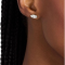 Michael Kors Jewelry MKJ8677040  EARRING WOMEN ต่างหู
