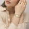 LACOSTE 2001452 LACOSTE PARISIENNE 30 X 22 MM นาฬิกาข้อมือ นาฬิกาผู้หญิง