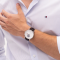 Tommy Hilfiger TH1710746 Men watch นาฬิกาข้อมือ นาฬิกา ผู้ชาย
