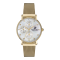 Beverly Hills Polo BP3252X.120 นาฬิกาข้อมือผู้หญิง Chronograph สายสแตนเลส Gold