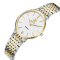Beverly Hills Polo Club BP3775X.230 FEMALE 32 MM. นาฬิกา นาฬิกาข้อมือ นาฬิกาข้อมือผู้หญิง